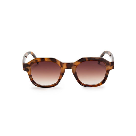 Bell Sunglasses - Turtle